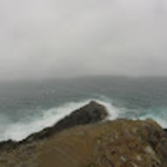 Meet your Posher, Kai - Picture 1 of 1